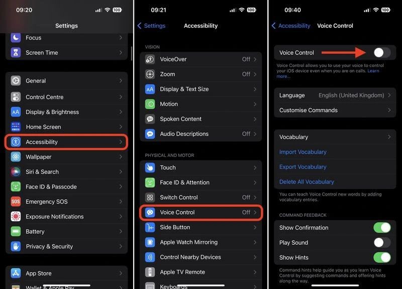 enable voice control