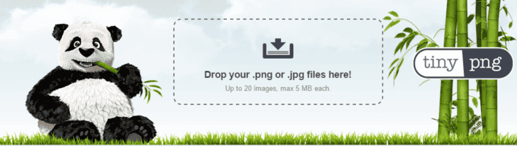 upload image in tinyping