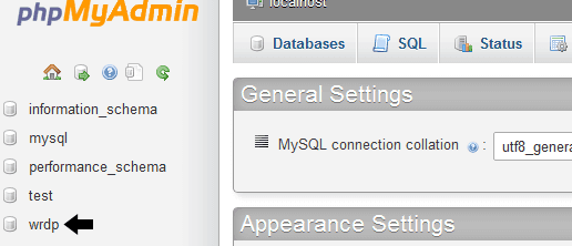 Wordpress Database section