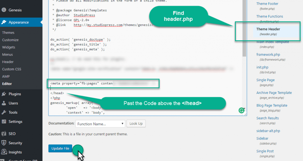 Paste code Into the header section of theme