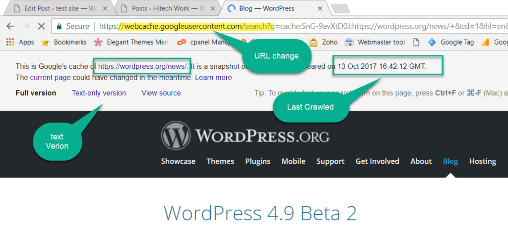 cache version of the page of the wordpress.org