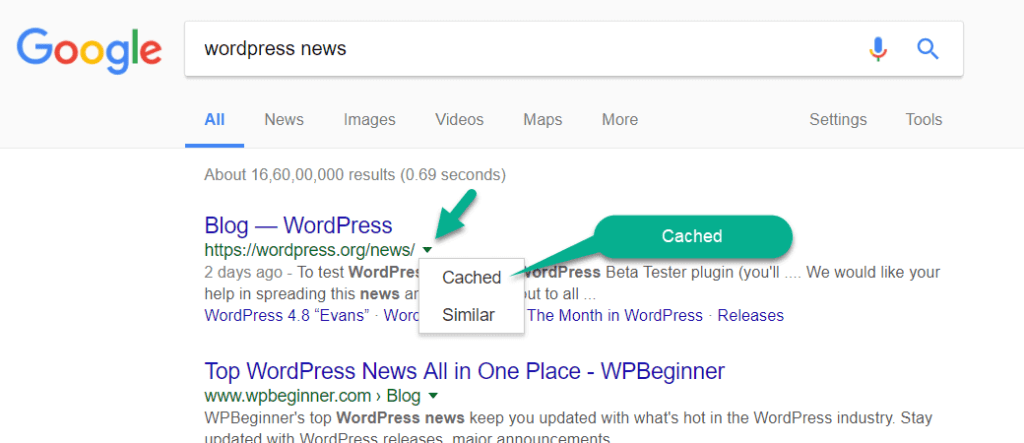 A cached version of the page in search result