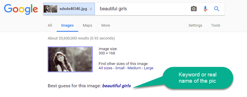 Google Image Search Result
