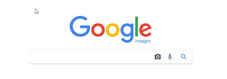 google image search box