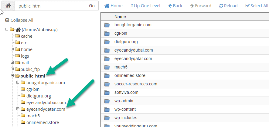 Check New Domain in file manager