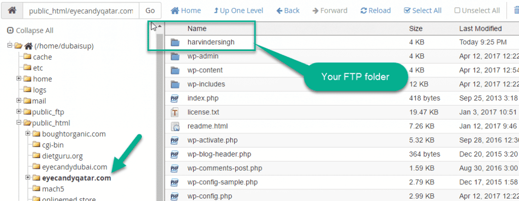 FTP Folder In file Manger in cpanel