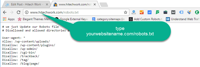 Search In Browsere about robots.txt file