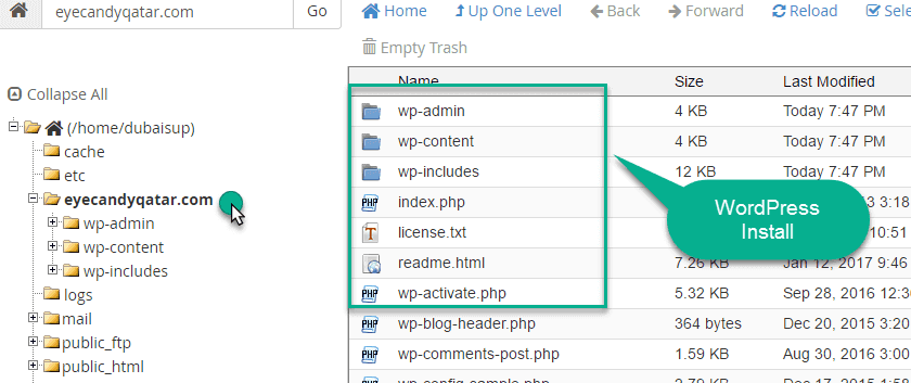 WordPress Directory in file manger