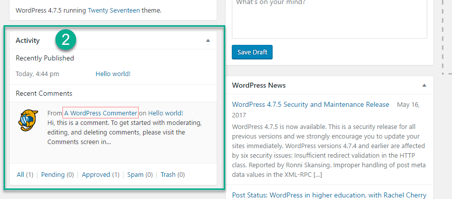 Activity option in the WordPress