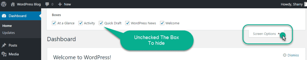 Click on screem Option in the wordpress