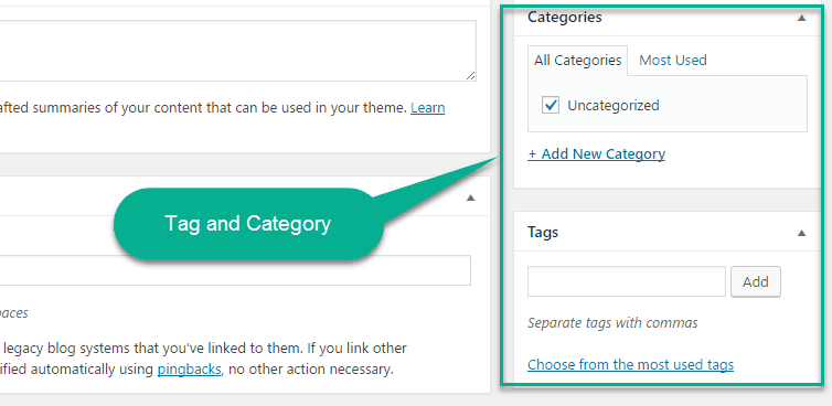 Tag and Category option in wordpress