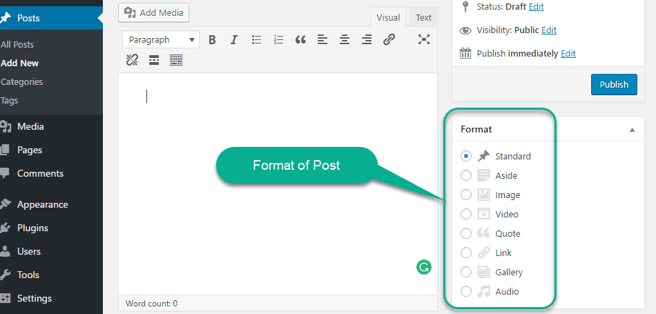 Format of Post in wordpress