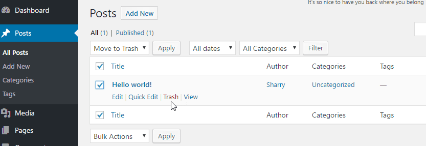 Move post to trash post in wordpress