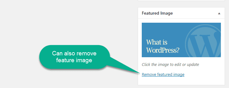 remove feature image option in worpress