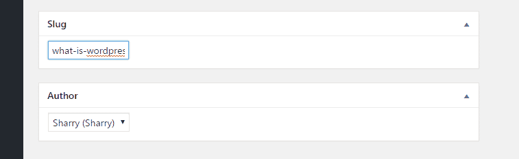 slug and Authhor box in wordpress