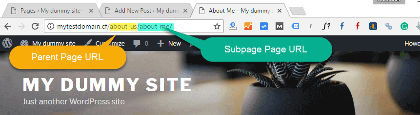 URL of Parent and Sub paege