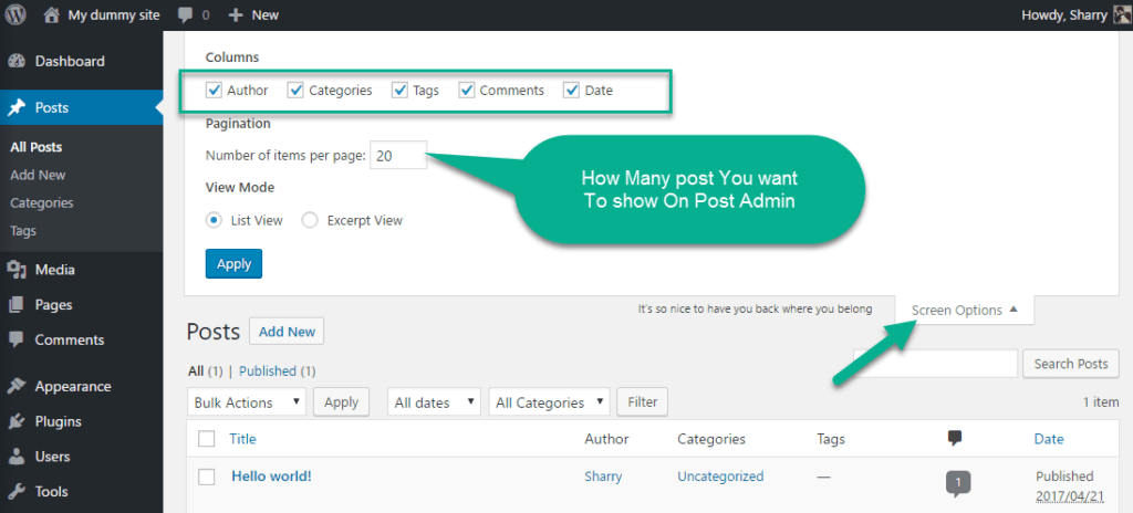 wordpress screen Option