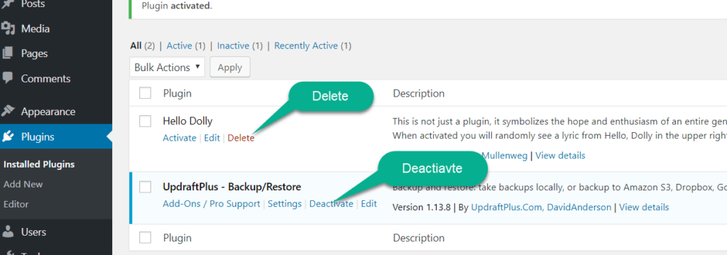 delete the wordpress plugin