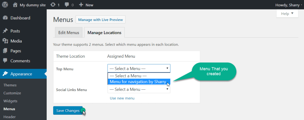 menu location option in wordpress