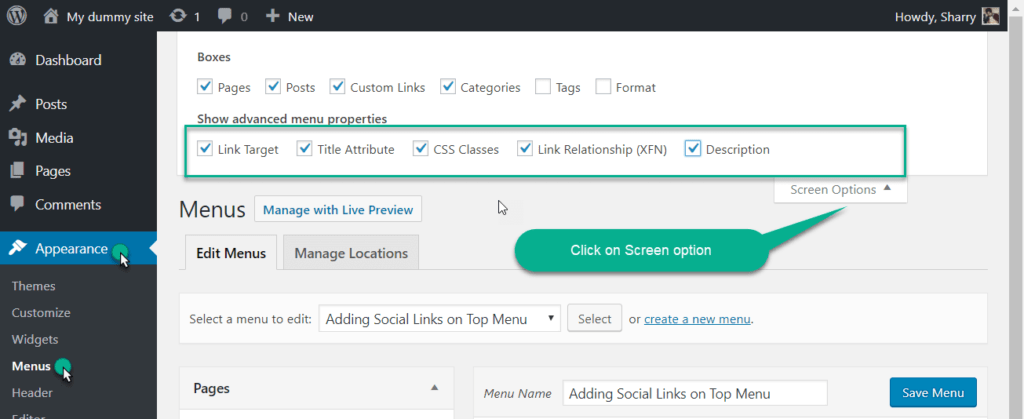 screen option in wordpress menu