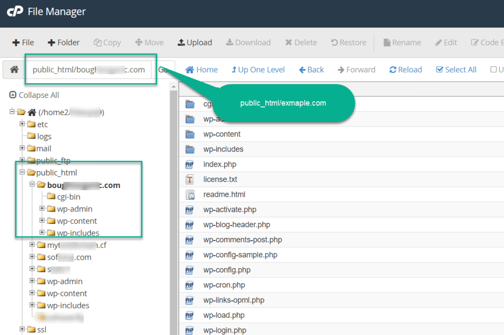 find root directory of addon domain