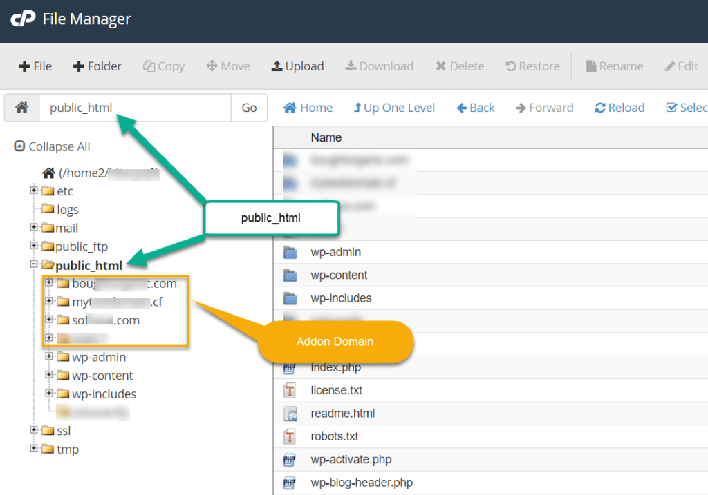 find root directory of wordpress website in cpanel