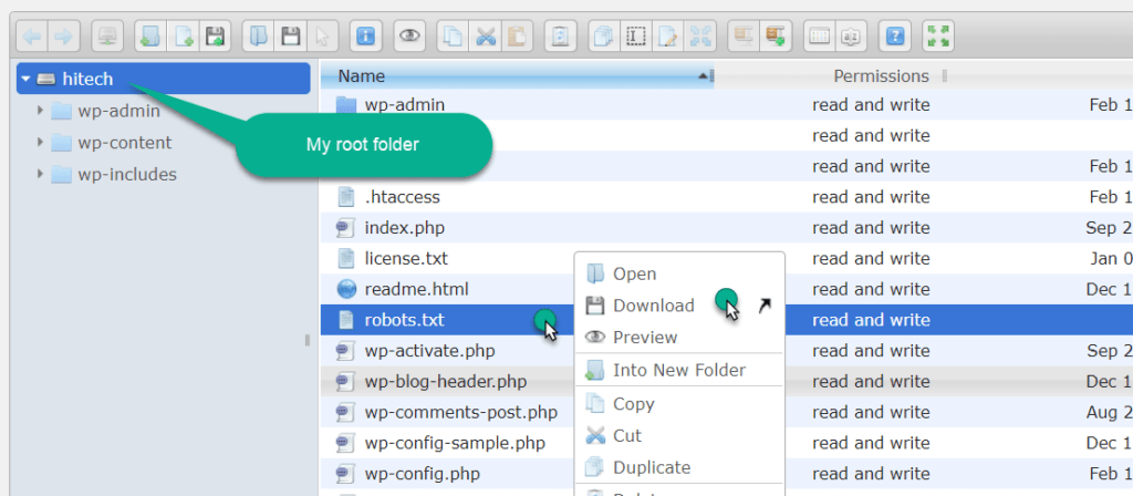 download robots txt file with the help of plugin