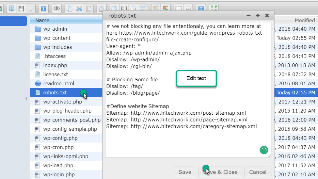 edit robots text online in wp file manager