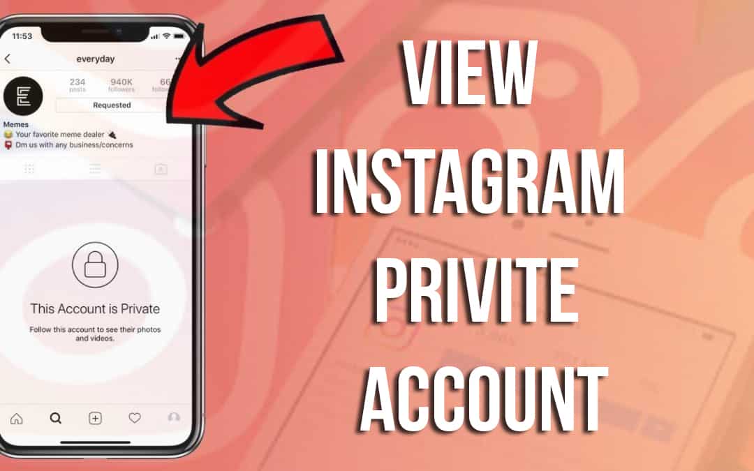 How to View Private Instagram Account Details in 2021