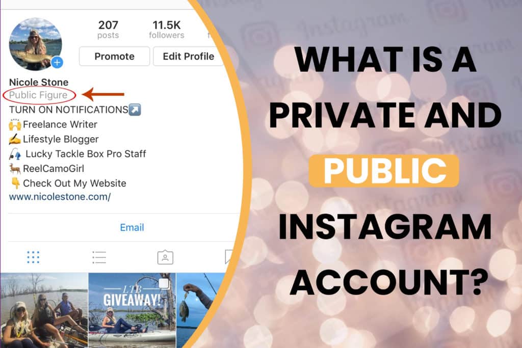 How to View Private Instagram Account Details in 2020