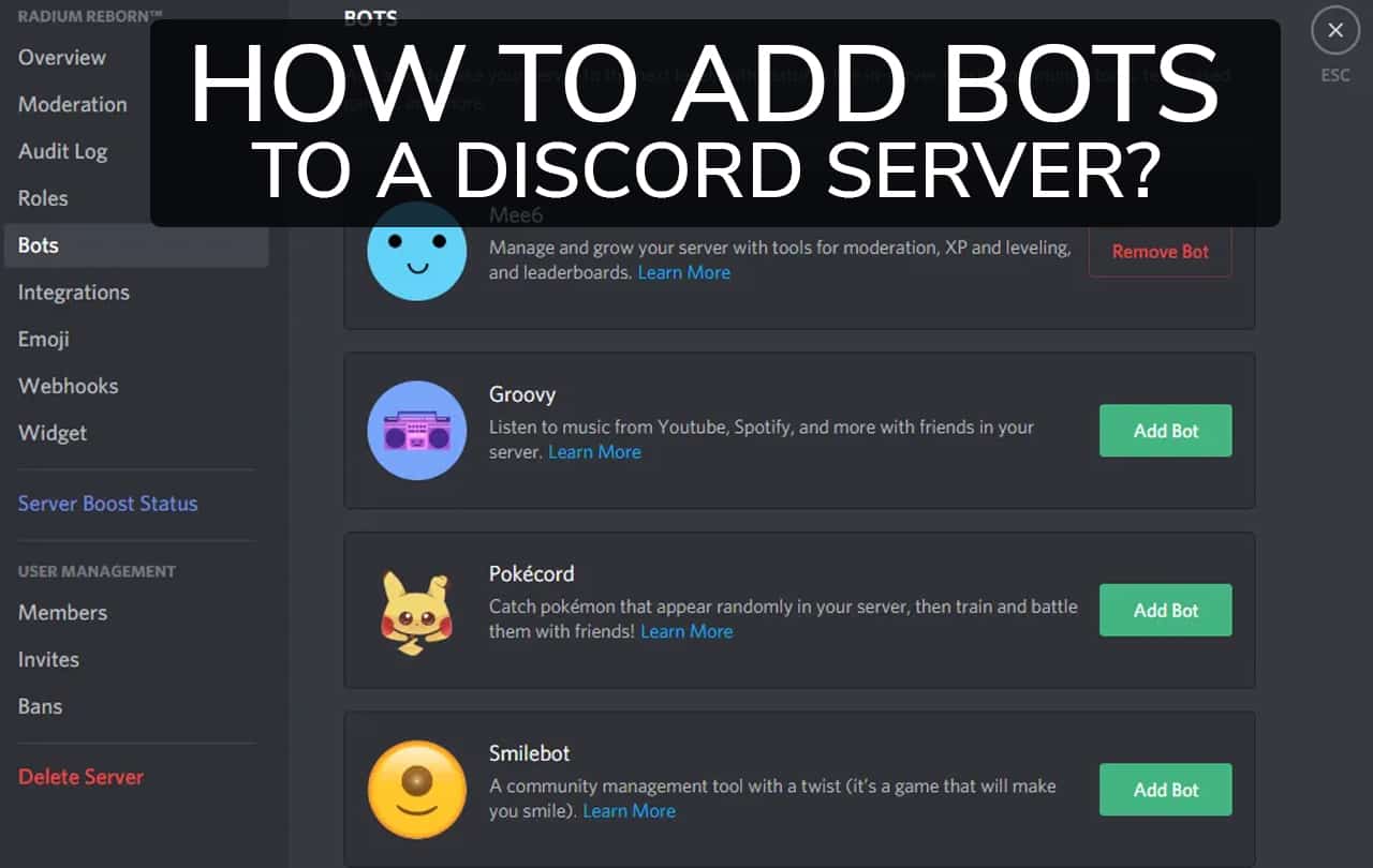 how to create a application for discord