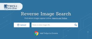 Perform a Reverse Image Search