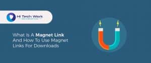 Magnet Link Search