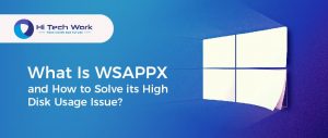 What Is Wsappx