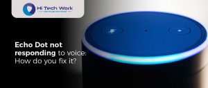 alexa echo dot not responding to voice