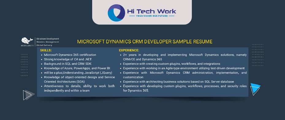 microsoft dynamics crm developer