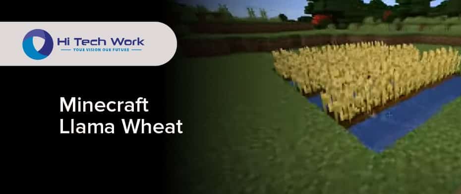what do llamas eat in minecraft to breed
