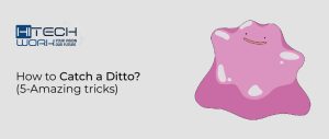 how to catch a ditto