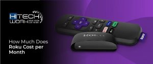 how much does Roku cost per month