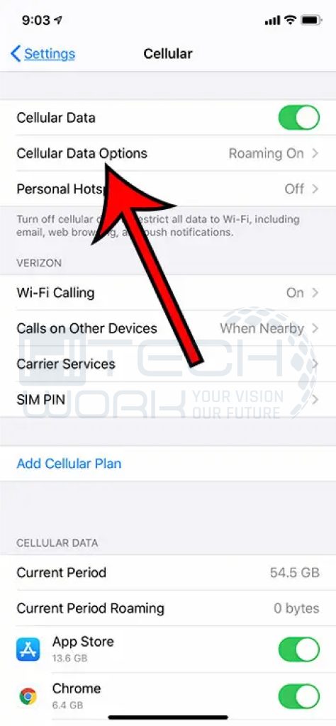 Tap on the Cellular Data options just shown in the screenshot
