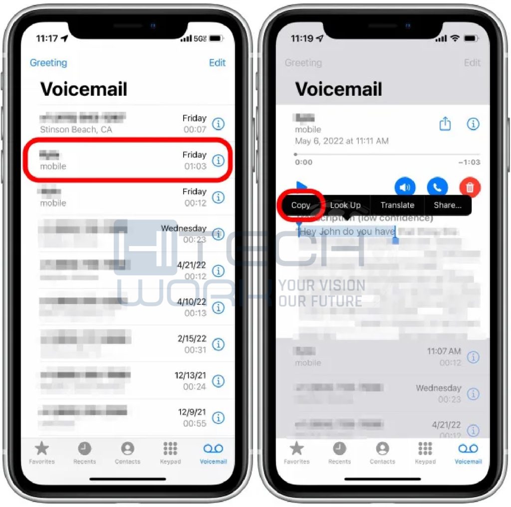 select Voicemail and Copy the text