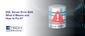 SQL Server Error 824