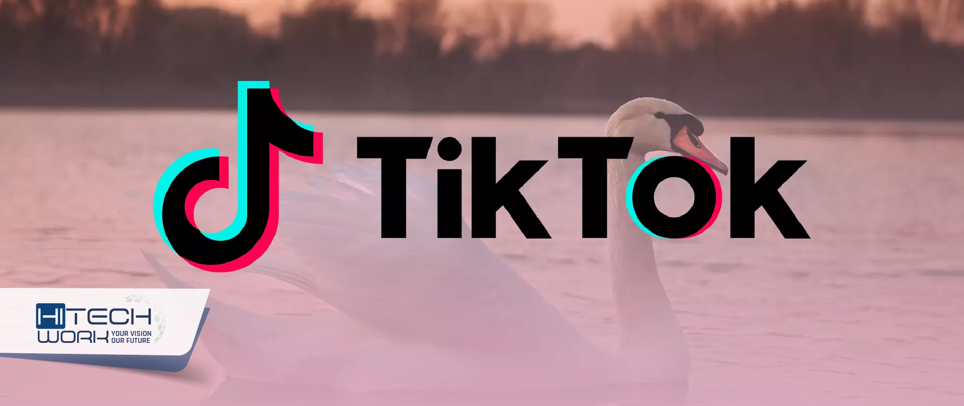 How To Win a TikTok Battle